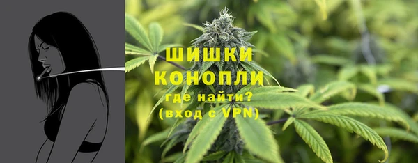 винт Янаул