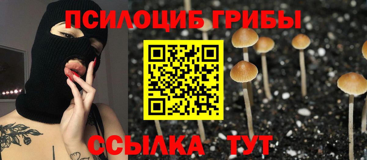 Галлюциногенные грибы мицелий Бердск