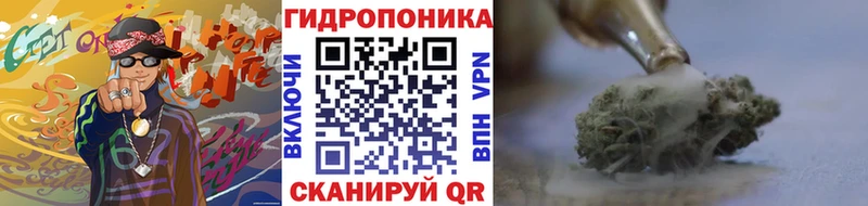 Бошки Шишки ГИДРОПОН OMG ссылки Бердск